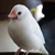 まぐ