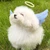 えんぢぇる