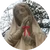 おはむ
