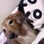 じゅん