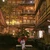 久保山朝陽