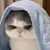utasachan