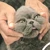 やま