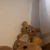 ゆきな