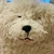 あずり