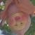 ゆぶね
