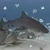 ひまり