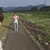 さといも