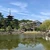 YukiIwai