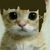 なかじまcom