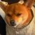 takeshii