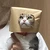 あかり
