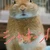 yoshy