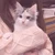あかり
