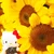 Riichan