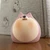 温森こたつ