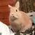 ゆい