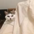 ゆき