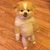 いかんざき