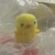 くろんちゅ