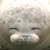 も