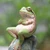 frogくいん