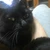 Sheena