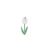 yellowtulip