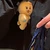 咲希