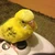 ゆき