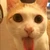 ちくわまる