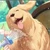 すかいはい