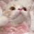 わたあめ