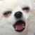 ちんも