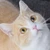 すえよし