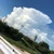 ひなた