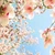 ひなみ