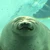 ohayo.com