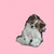 みやこ