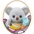 こあらちょふ