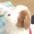かずは