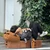 Yuichi
