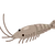 おうり