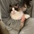 ささき