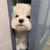 うさくま
