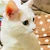 ぽっくんちゃん
