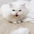 ひらり