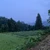 kaai