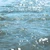 AberdeenRiver