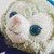 えぬこ